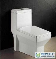 專業衛生潔具生產銷售，質量可靠，歡迎新老客戶惠顧